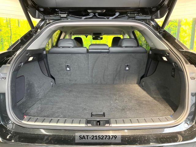 Lexus RX 2020-03 7962464-9
