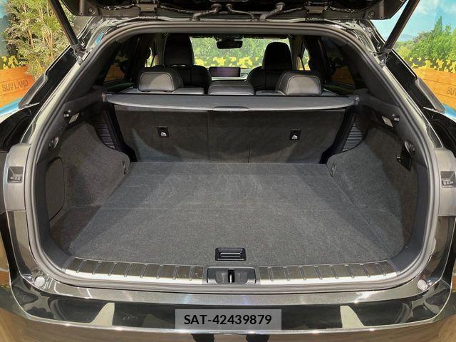 Lexus RX 2017-03 7962470-12