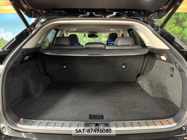 Lexus RX 2018-02 8074401-9