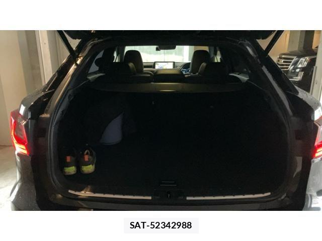 Lexus RX 2015-10 8074407-16