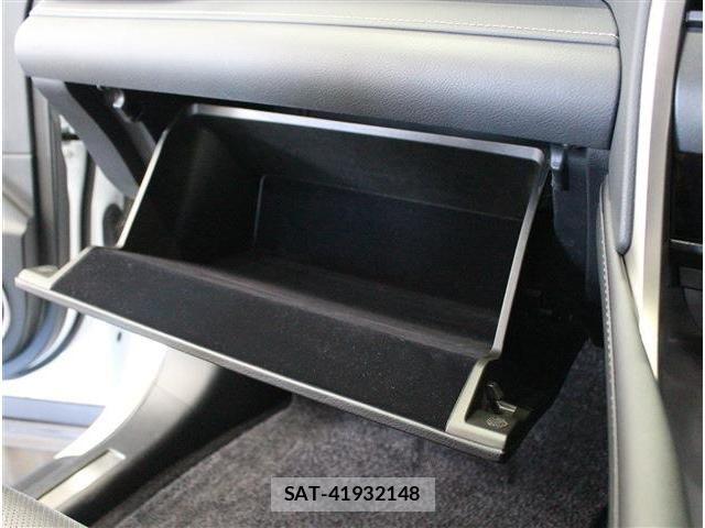 Lexus RX 2021-04 8074404-19