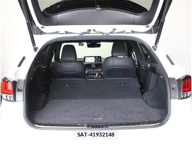 Lexus RX 2021-04 8074404-27