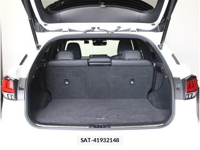 Lexus RX 2021-04 8074404-28