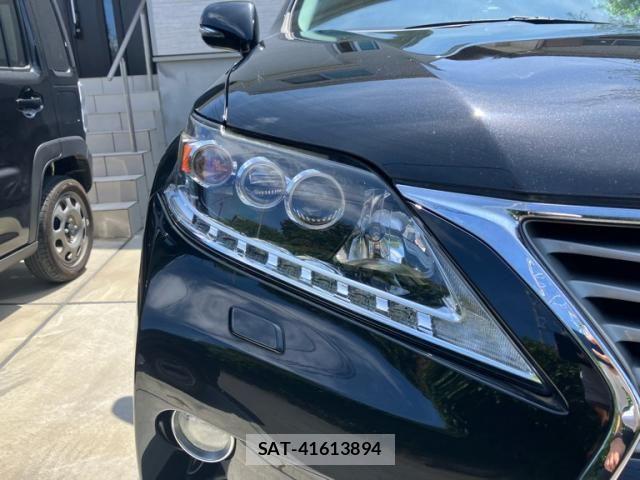 Lexus RX 2014-03 8100203-9