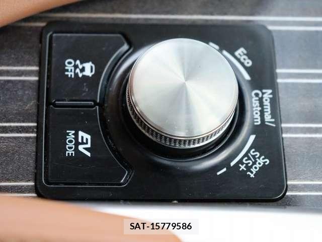 Lexus RX 2019-11 8100200-12