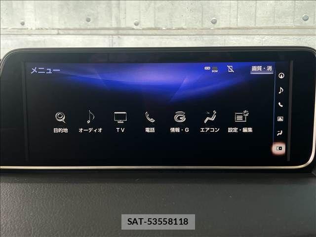 Lexus RX 2016-04 8100199-16