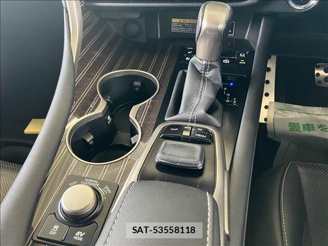 Lexus RX 2016-04 8100199-17