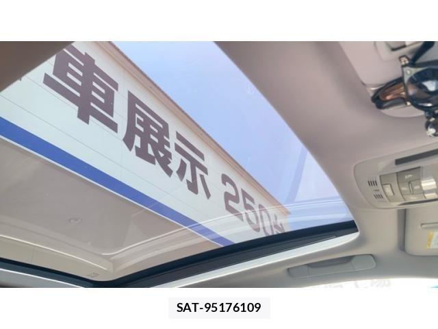 Lexus RX 2010-03 8131062-24