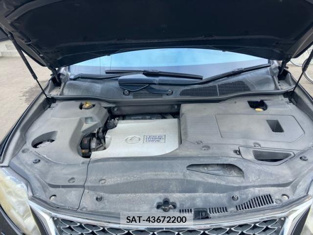 Lexus RX 2009-12 8131063-20