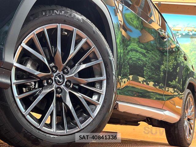 Lexus RX 2022-01 8208462-14