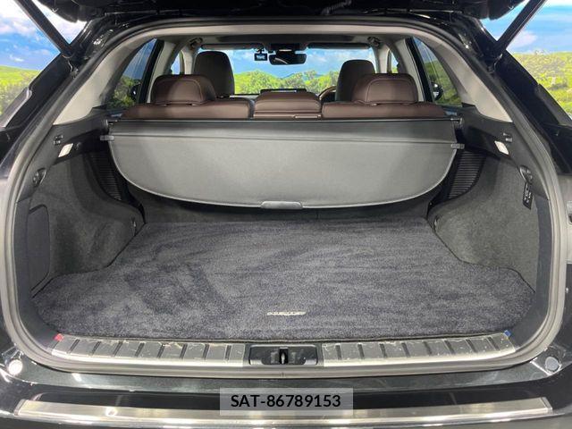Lexus RX 2020-05 8208463-11