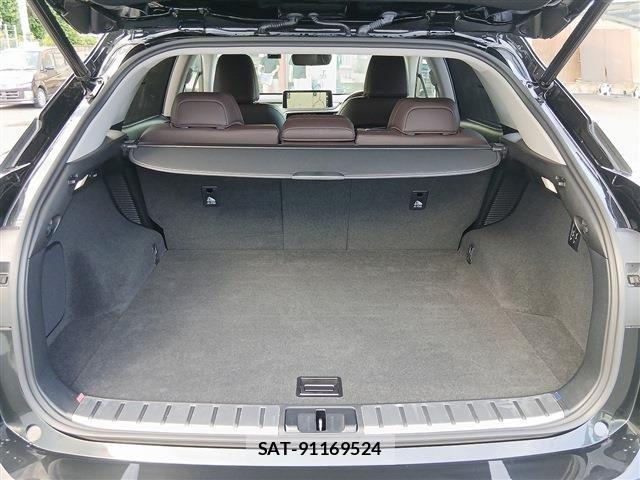 Lexus RX 2021-07 8245765-19