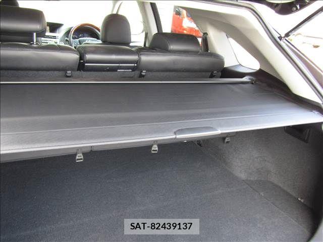 Lexus RX 2009-07 8245768-28
