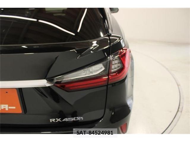Lexus RX 2016-02 8315230-18
