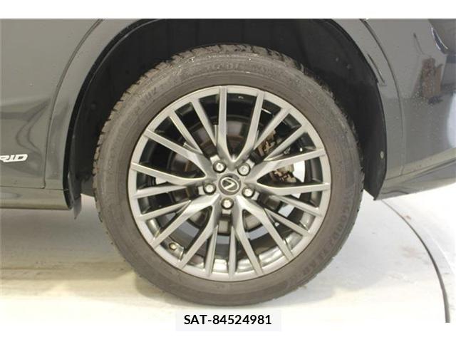 Lexus RX 2016-02 8315230-24