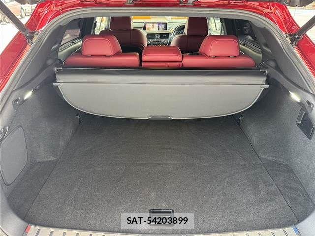 Lexus RX 2016-08 8336614-19