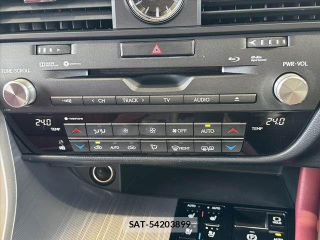 Lexus RX 2016-08 8336614-21