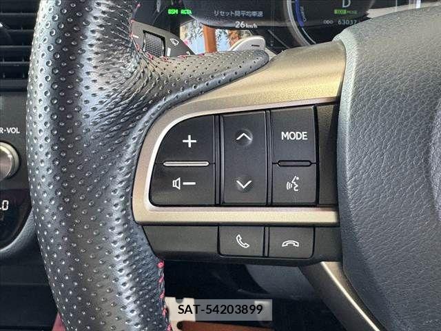 Lexus RX 2016-08 8336614-26