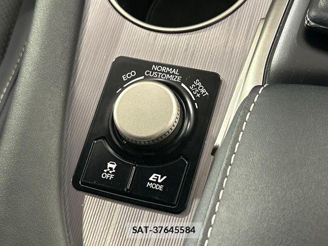Lexus RX 2019-07 8336608-6