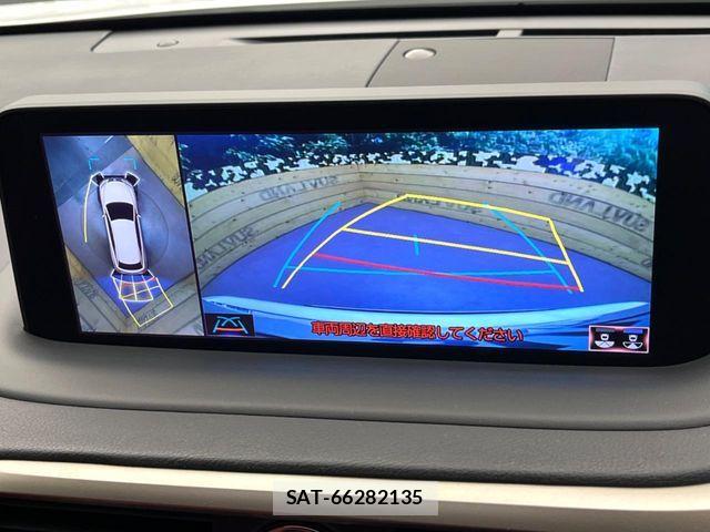 Lexus RX 2020-05 8336609-5
