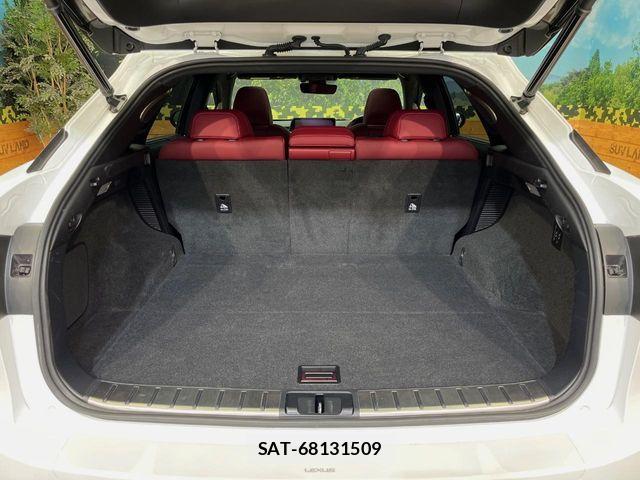 Lexus RX 2019-05 8336611-12