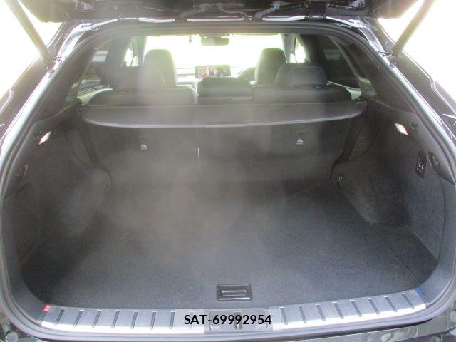 Lexus RX 2020-01 8366788-15