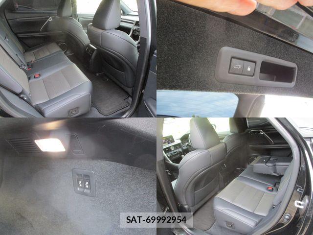 Lexus RX 2020-01 8366788-18