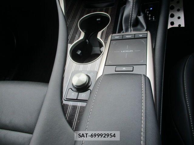Lexus RX 2020-01 8366788-22
