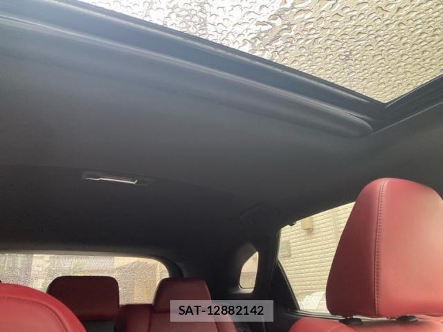 Lexus RX 2016-11 8413325-29