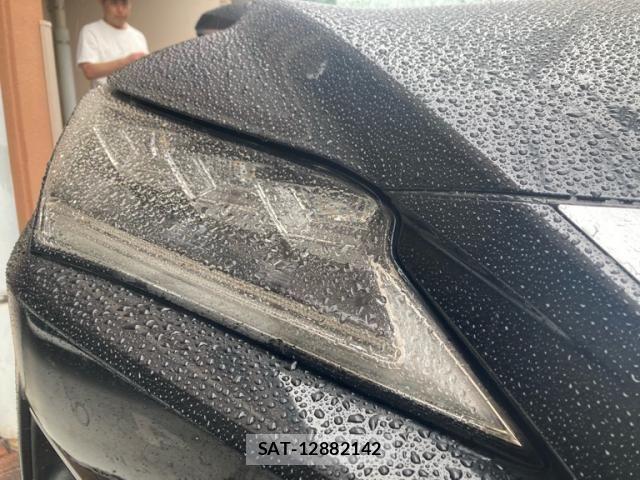 Lexus RX 2016-11 8413325-3