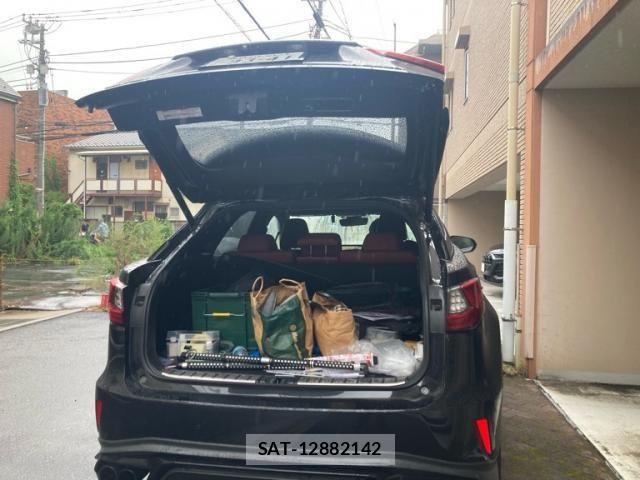 Lexus RX 2016-11 8413325-6
