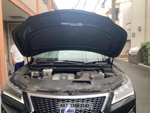 Lexus RX 2016-11 8413325-7