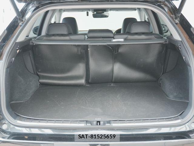 Lexus RX 2016-10 8438363-10