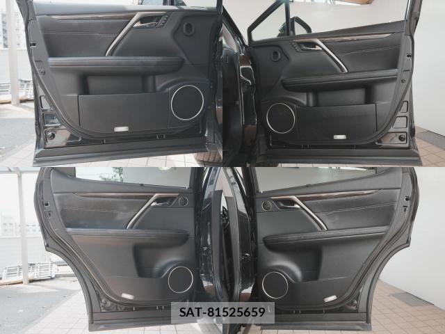 Lexus RX 2016-10 8438363-4