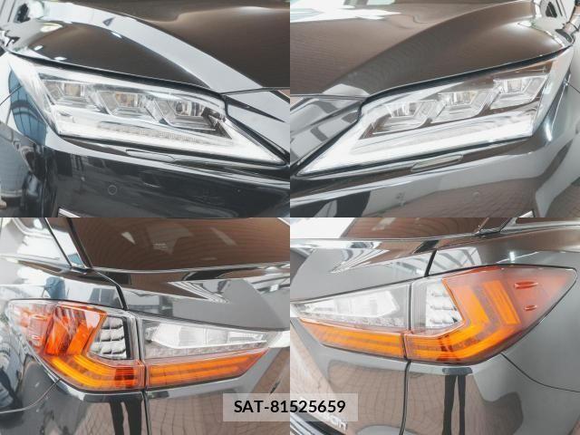 Lexus RX 2016-10 8438363-5