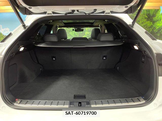 Lexus RX 2021-08 8525593-10