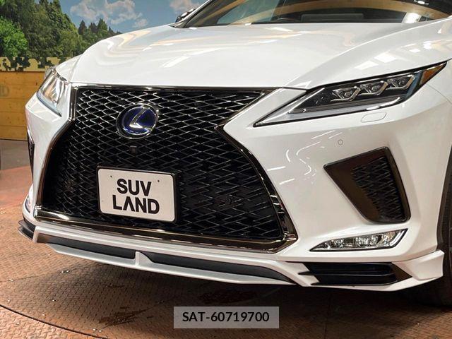 Lexus RX 2021-08 8525593-2