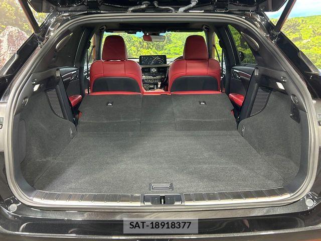 Lexus RX 2020-01 8525595-9