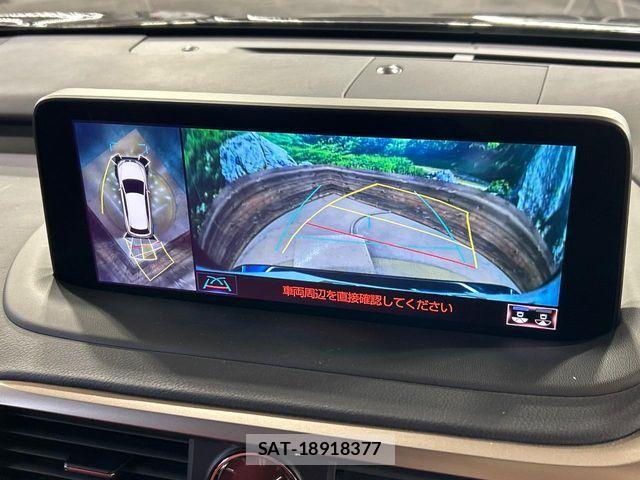 Lexus RX 2020-01 8525595-3