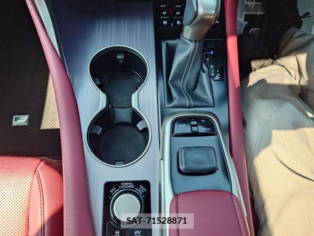 Lexus RX 2018-09 8627531-17