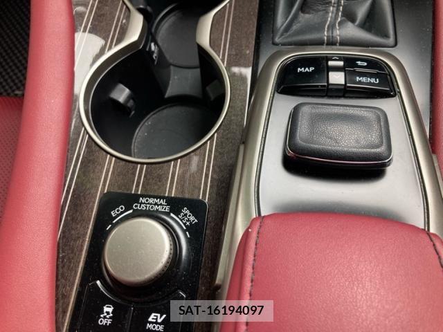 Lexus RX 2018-01 8660009-15