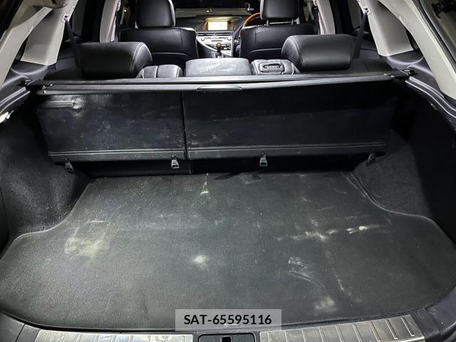 Lexus RX 2009-10 8666430-12