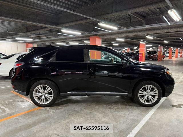 Lexus RX 2009-10 8666430-8
