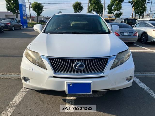 Lexus RX 2009-04 8660013-0