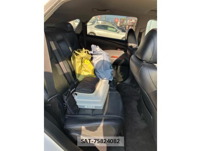 Lexus RX 2009-04 8660013-14
