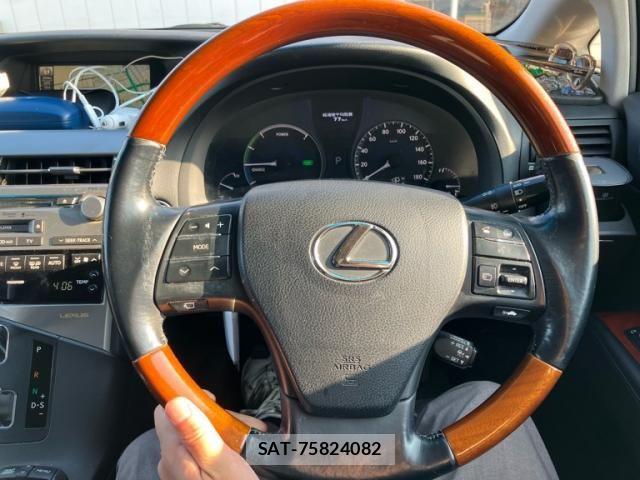 Lexus RX 2009-04 8660013-15