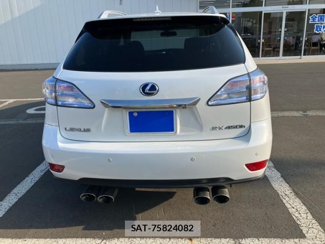 Lexus RX 2009-04 8660013-3