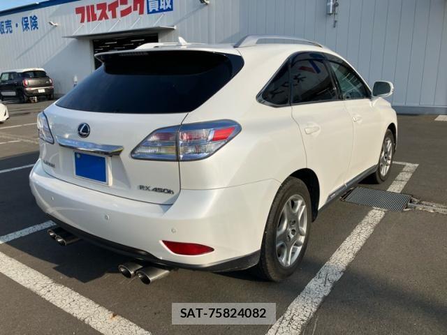Lexus RX 2009-04 8660013-4
