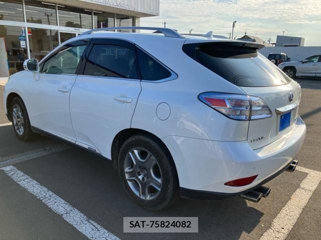Lexus RX 2009-04 8660013-5