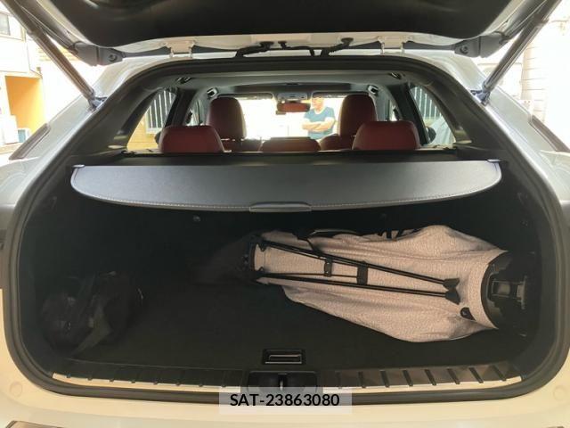 Lexus RX 2017-04 8660011-9